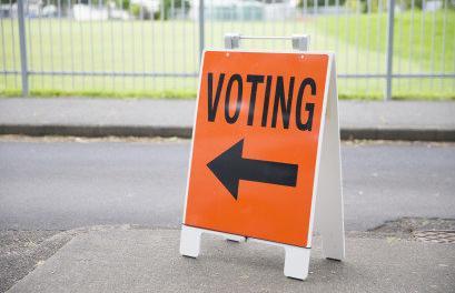 New Zealand Local Elections 2019